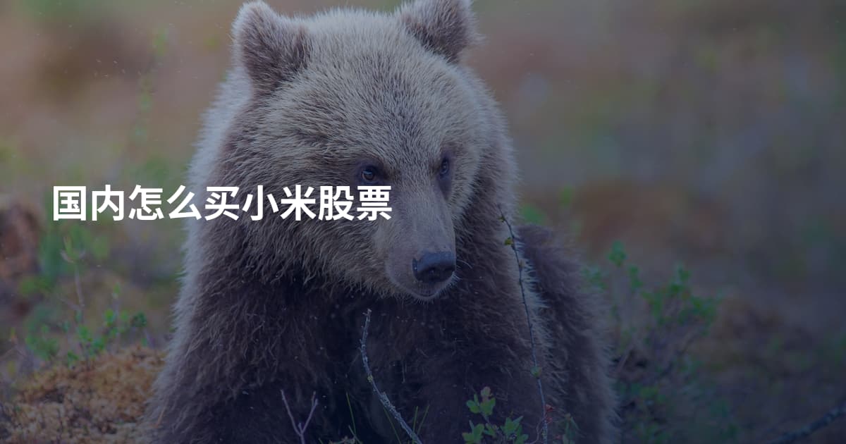国内怎么买小米股票
