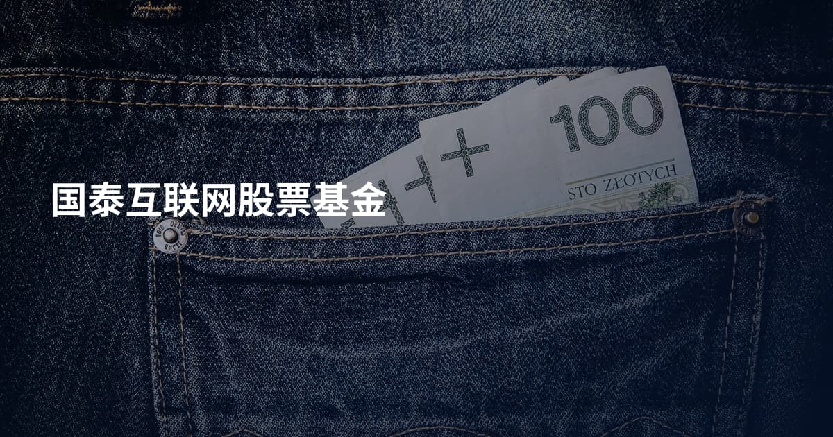 国泰互联网股票基金