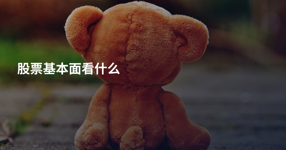 股票基本面看什么