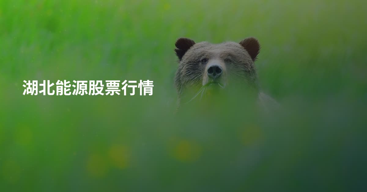 湖北能源股票行情