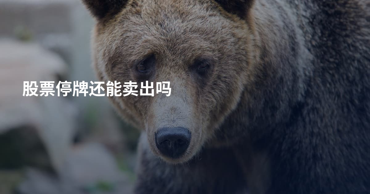 股票停牌还能卖出吗
