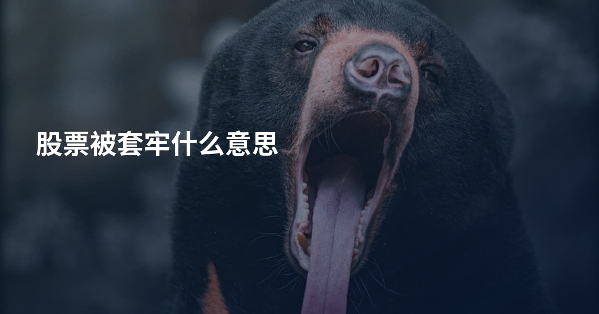 股票被套牢什么意思