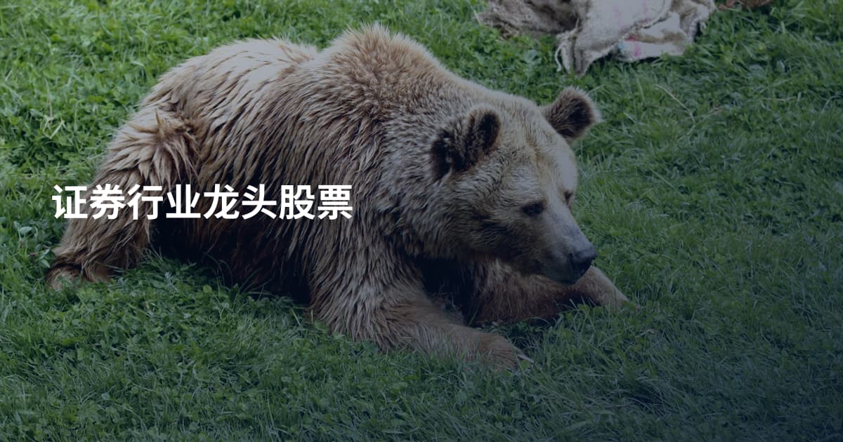 证券行业龙头股票