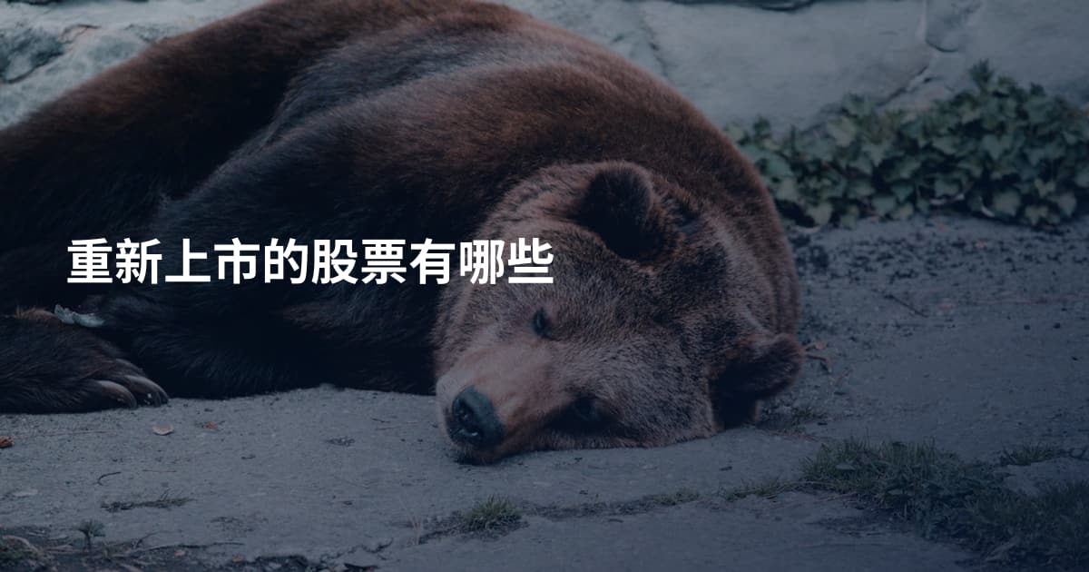 重新上市的股票有哪些