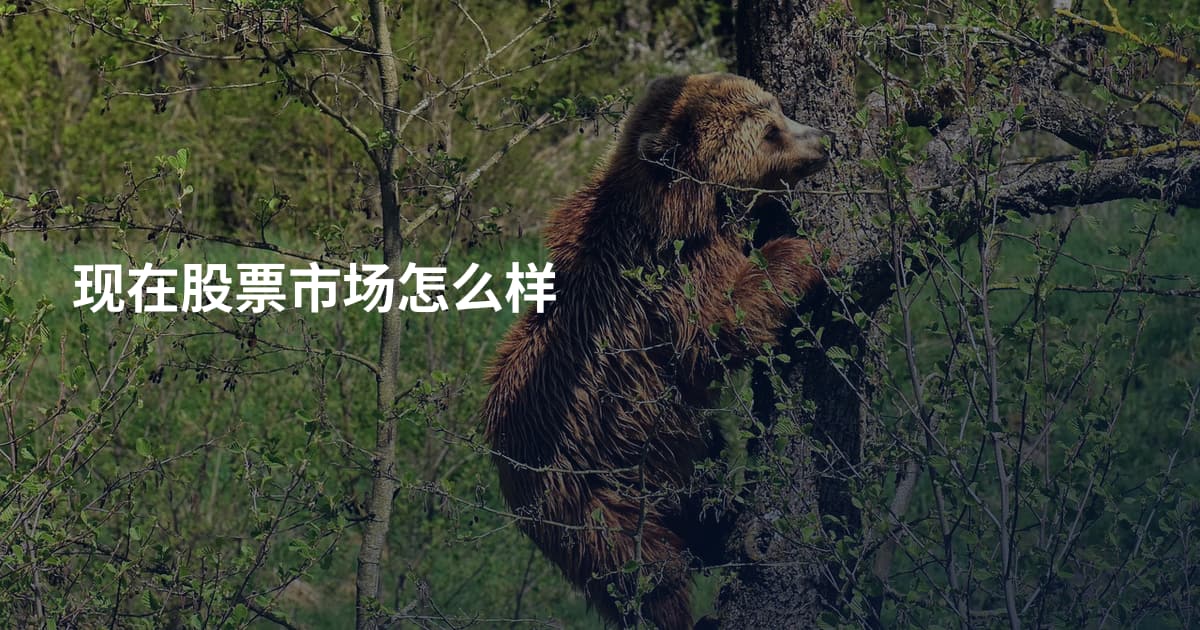 现在股票市场怎么样