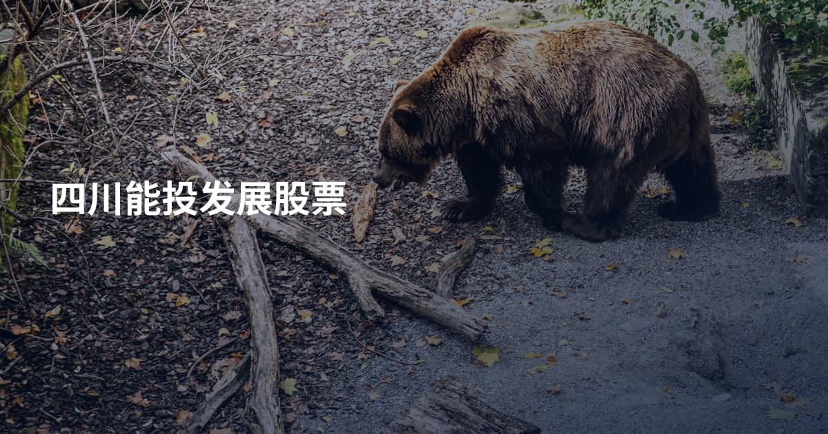 四川能投发展股票