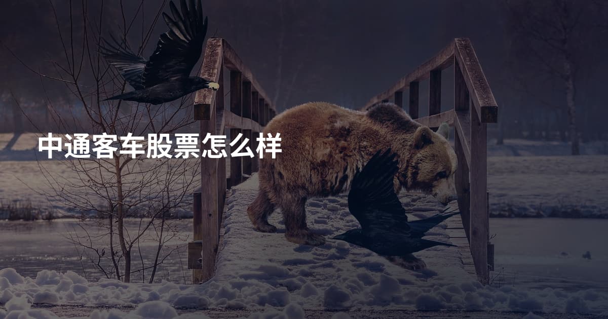 中通客车股票怎么样