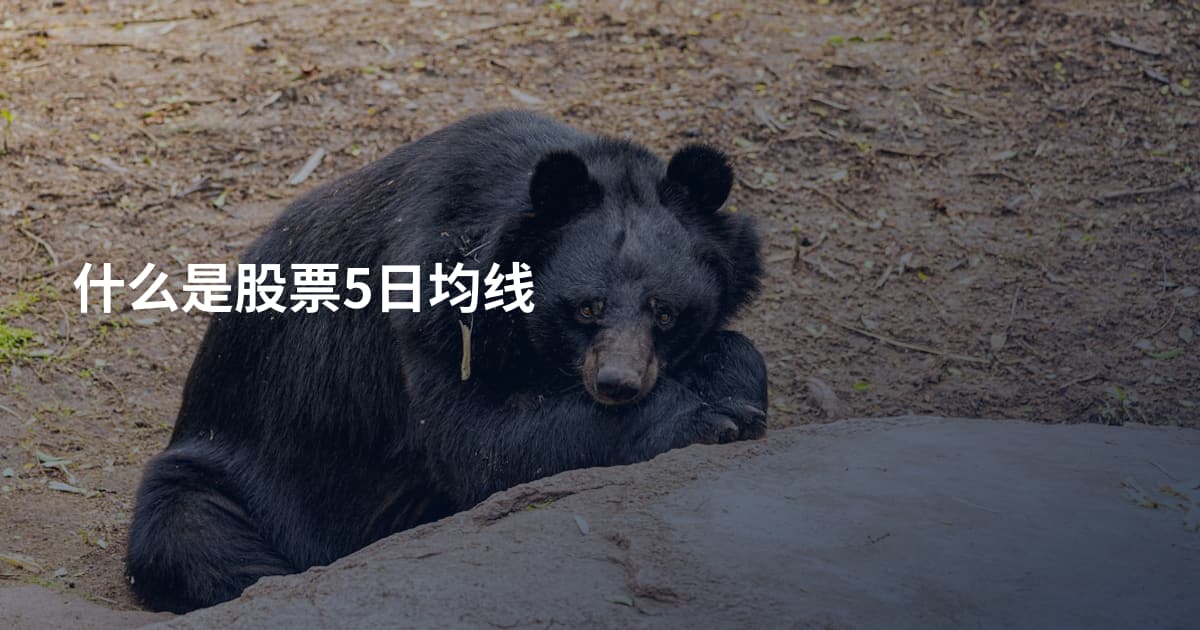 什么是股票5日均线