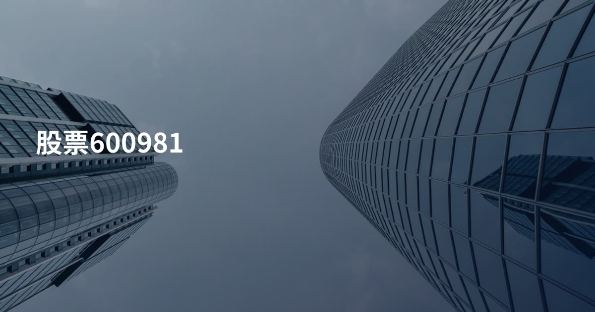 股票600981