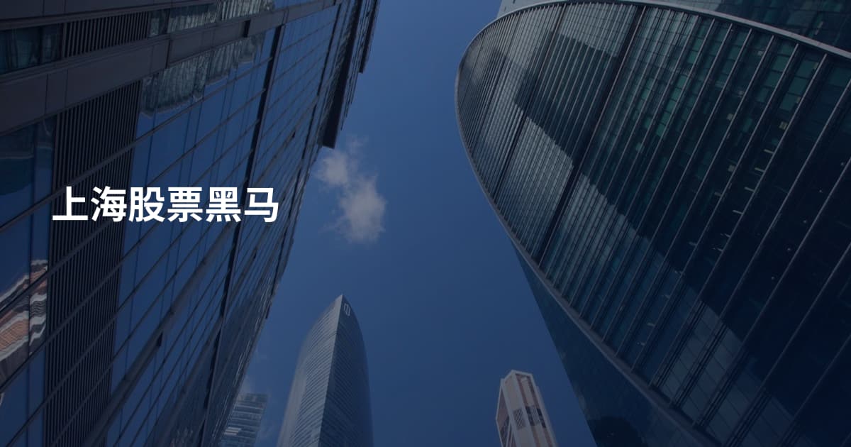 上海股票黑马