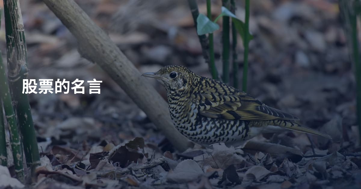 股票的名言