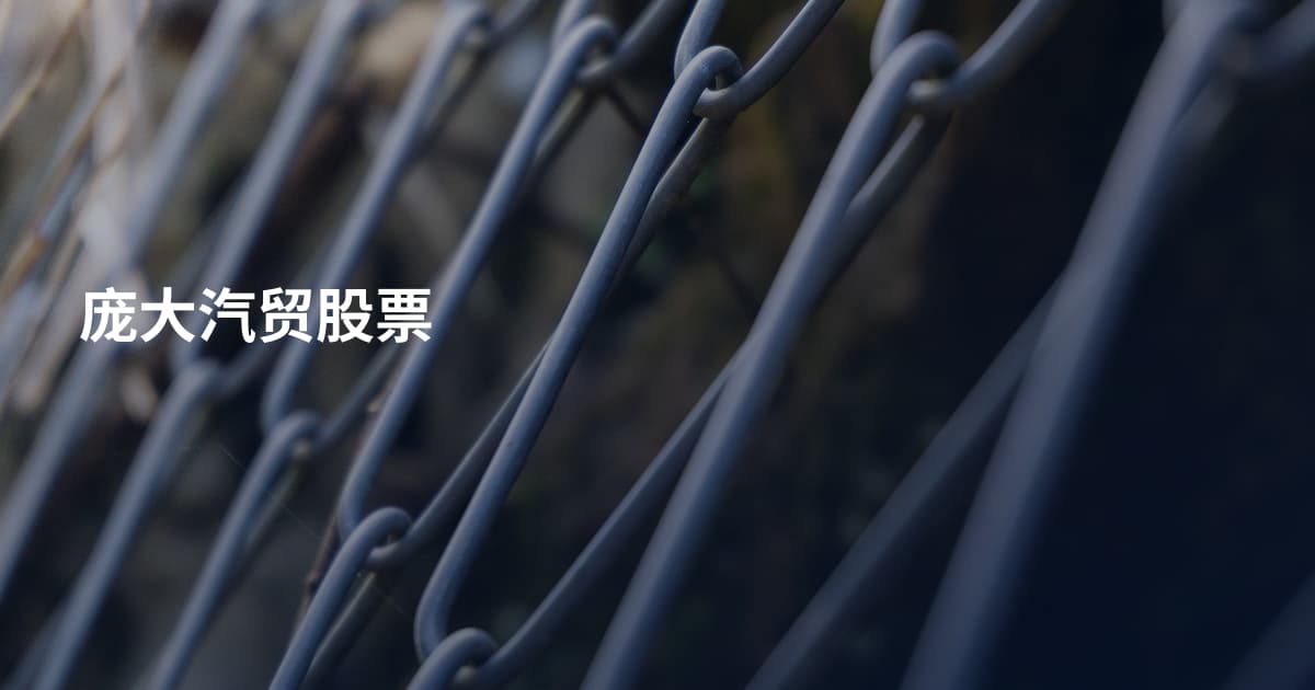 庞大汽贸股票