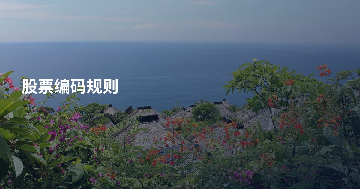 股票编码规则