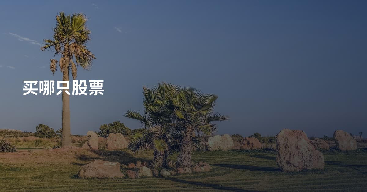 买哪只股票