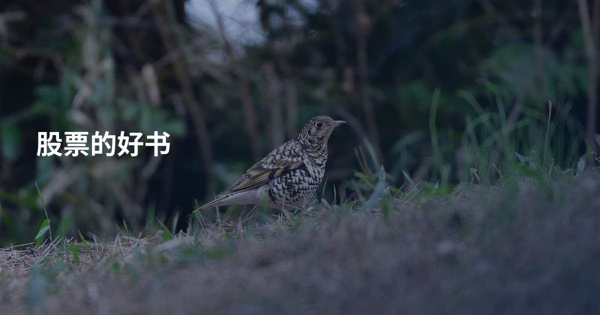 股票的好书