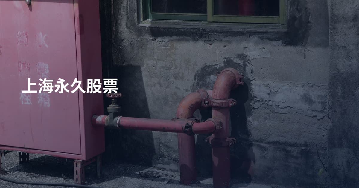 上海永久股票