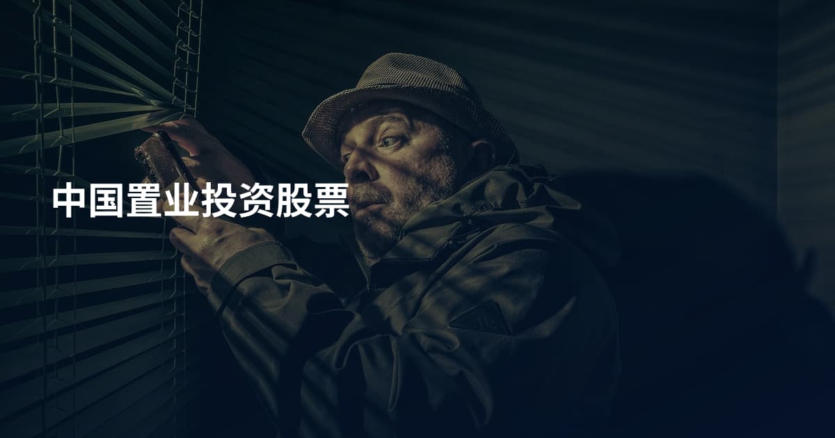 中国置业投资股票