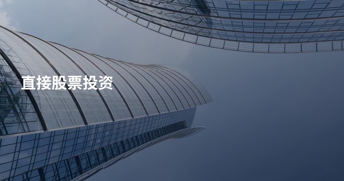 直接股票投资