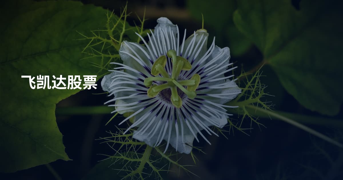 飞凯达股票