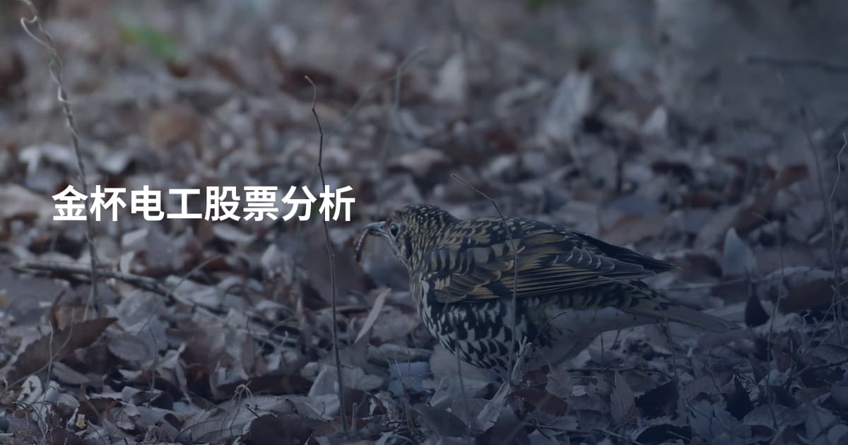 金杯电工股票分析