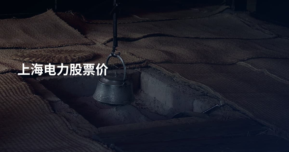 上海电力股票价