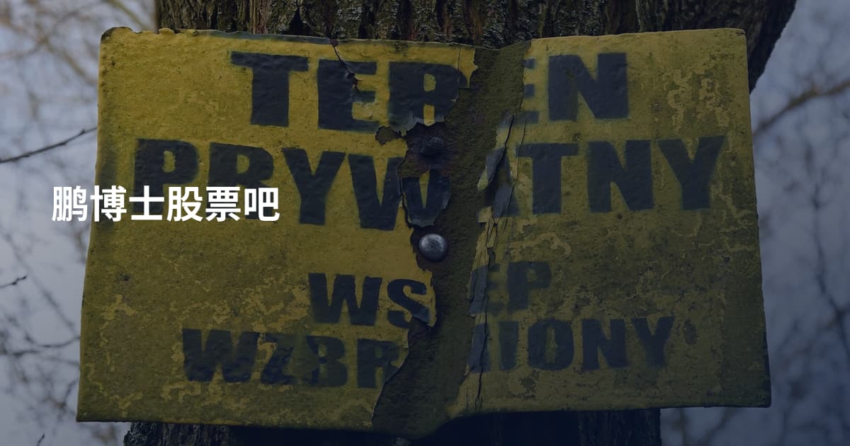 鹏博士股票吧