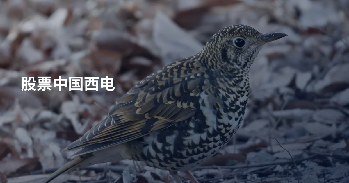 股票中国西电
