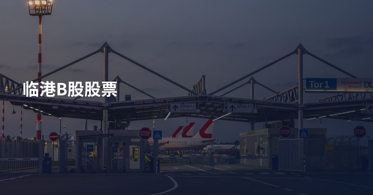 临港B股股票
