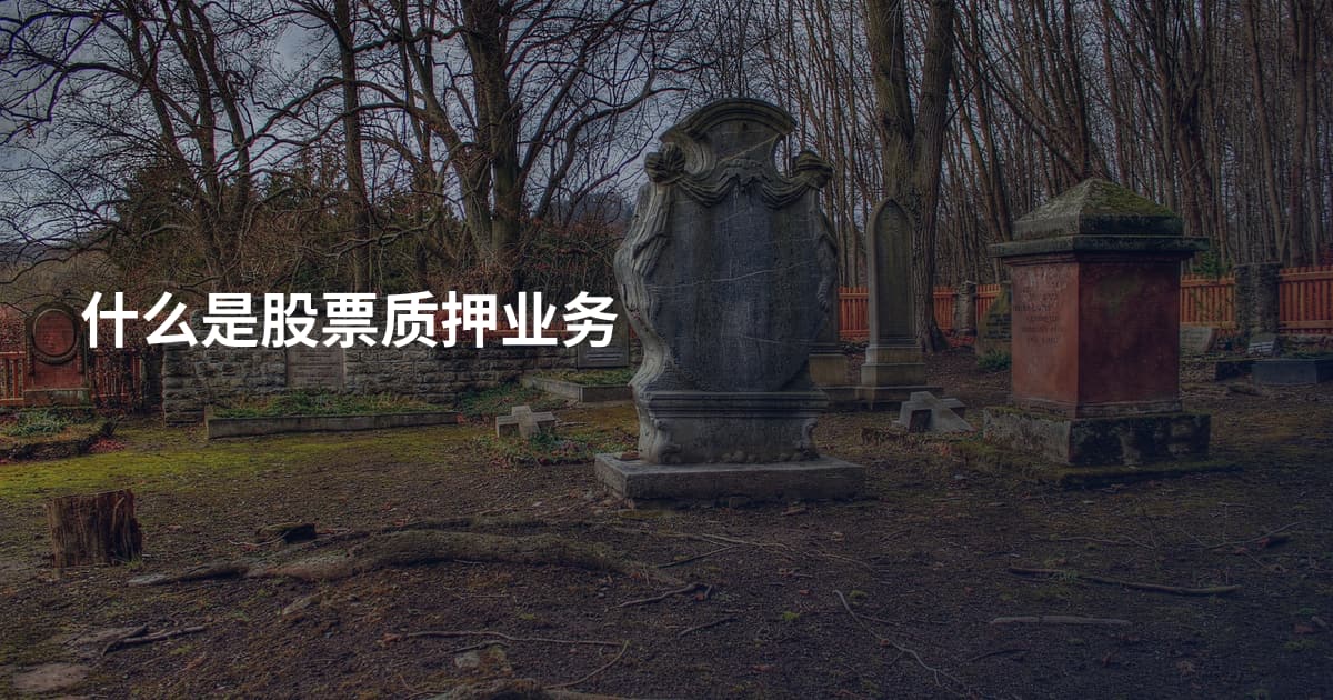 什么是股票质押业务