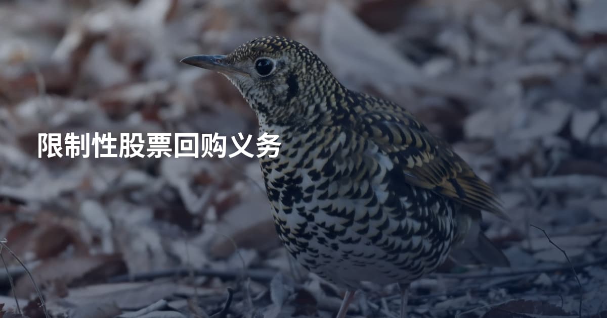 限制性股票回购义务