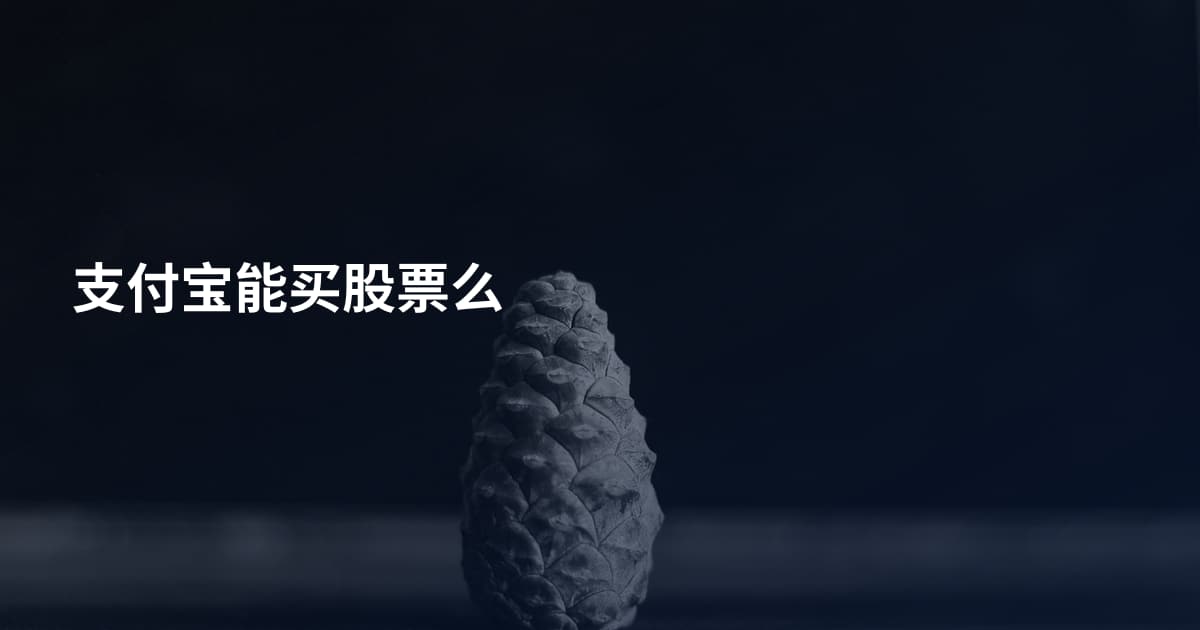 支付宝能买股票么