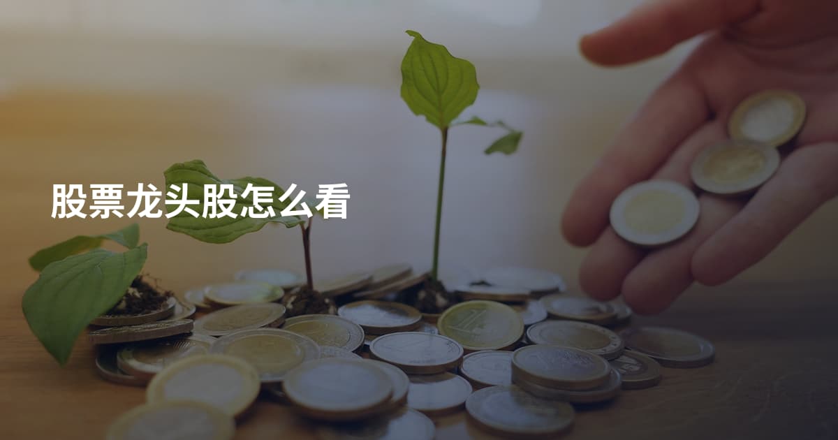 股票龙头股怎么看