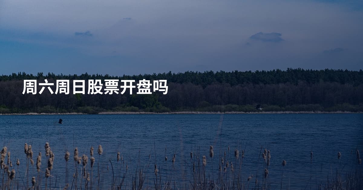 周六周日股票开盘吗