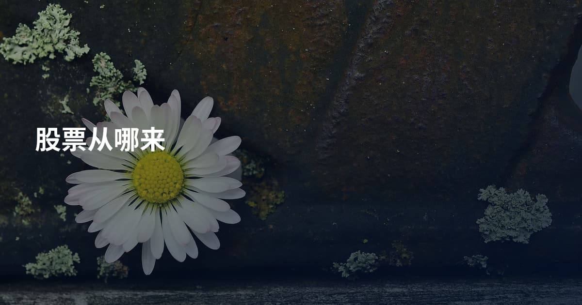 股票从哪来