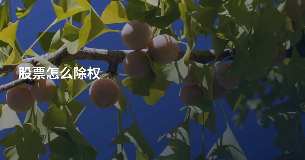 股票怎么除权