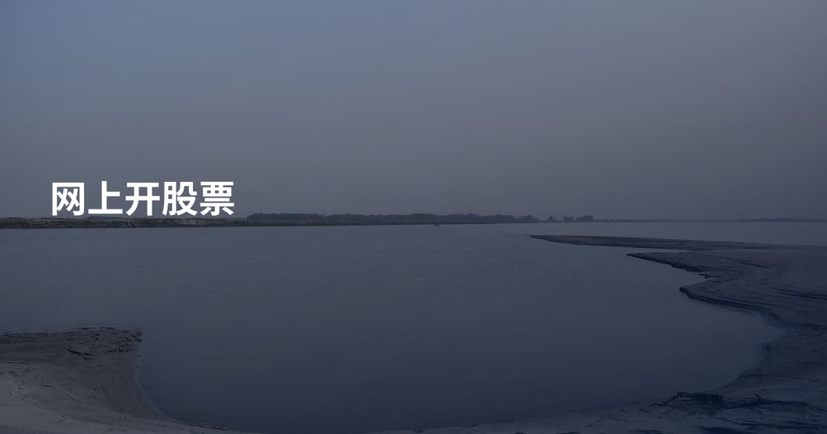 网上开股票
