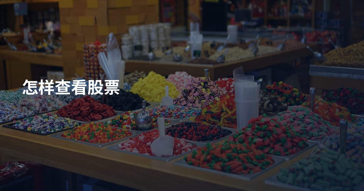 怎样查看股票