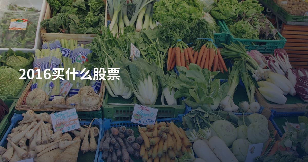 2016买什么股票