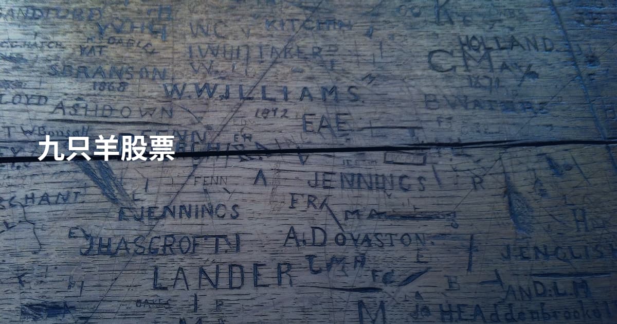 九只羊股票