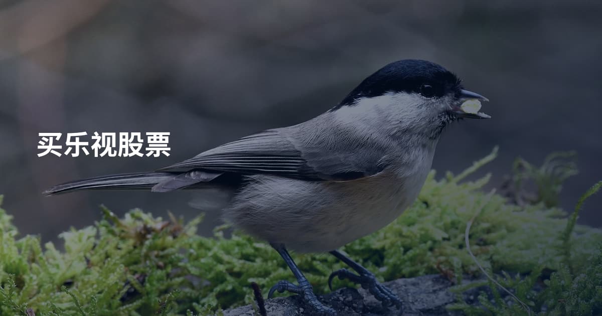 买乐视股票