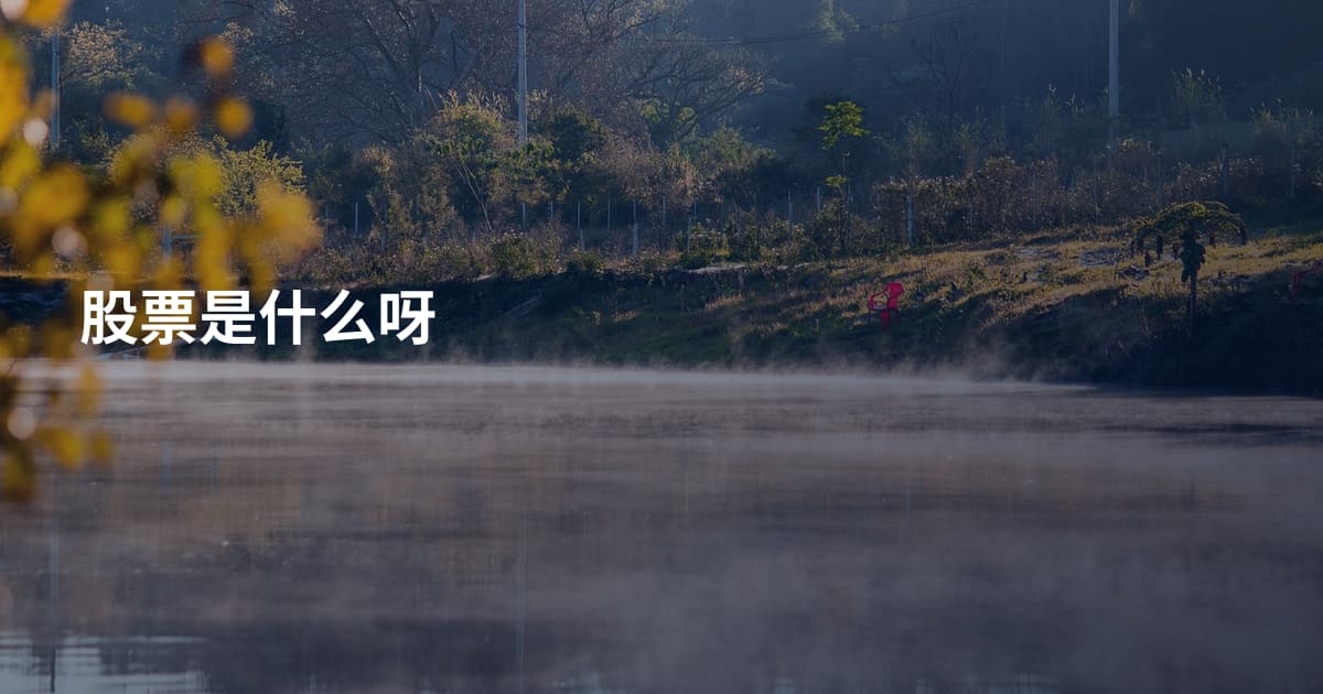 股票是什么呀