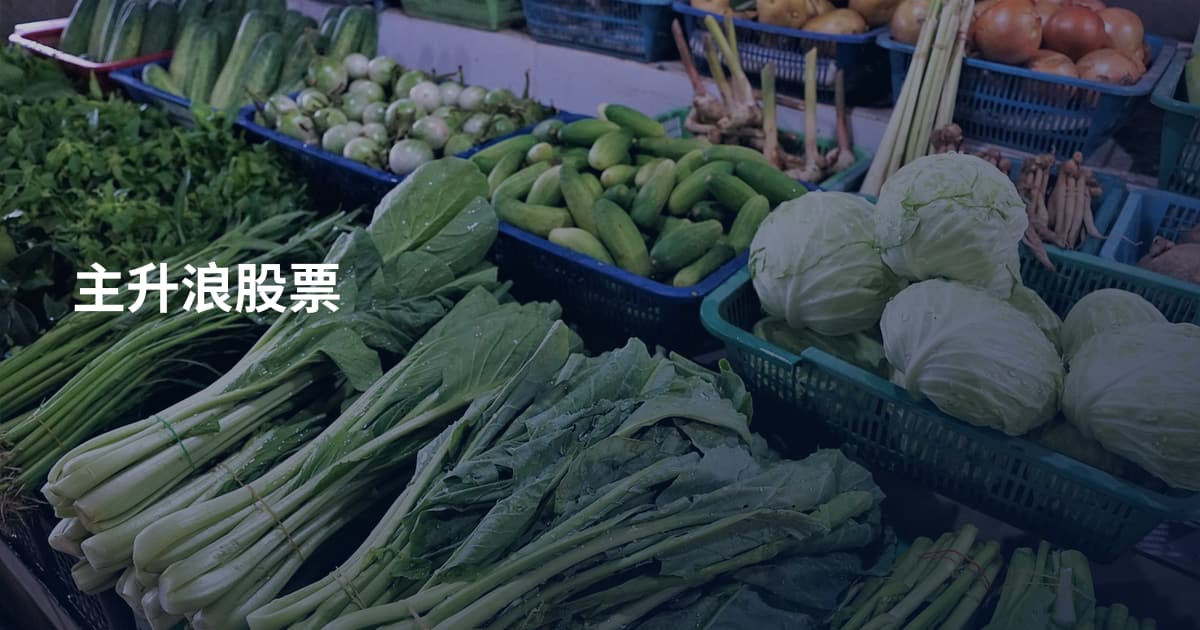 主升浪股票
