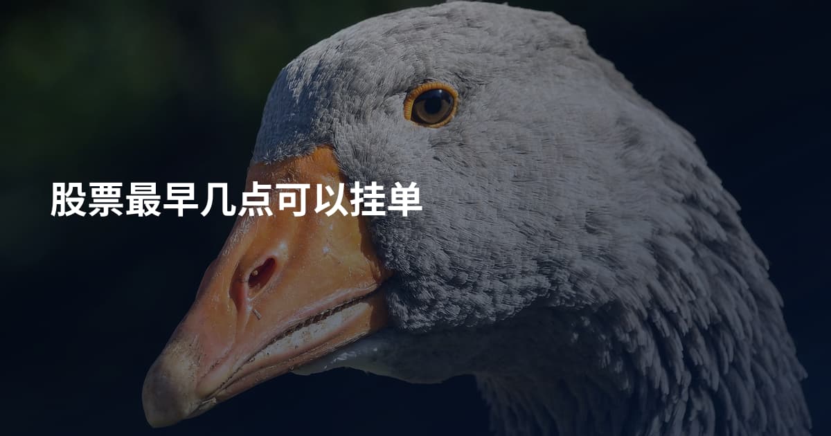 股票最早几点可以挂单