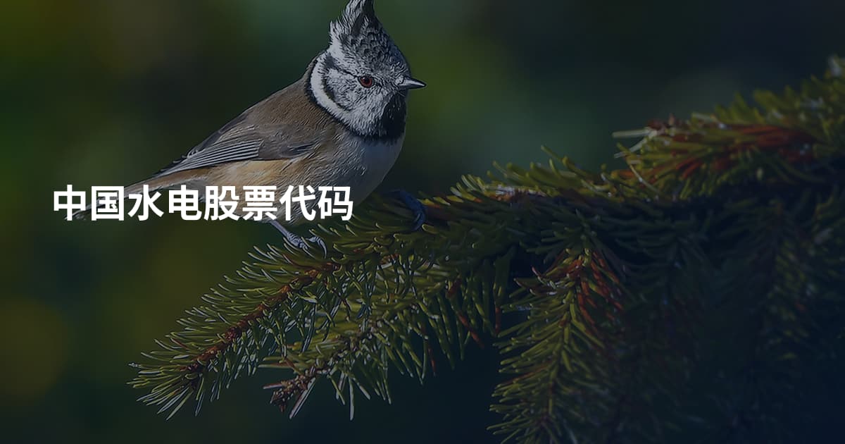 中国水电股票代码