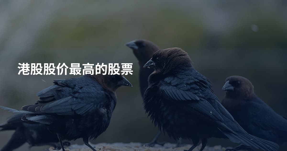 港股股价最高的股票