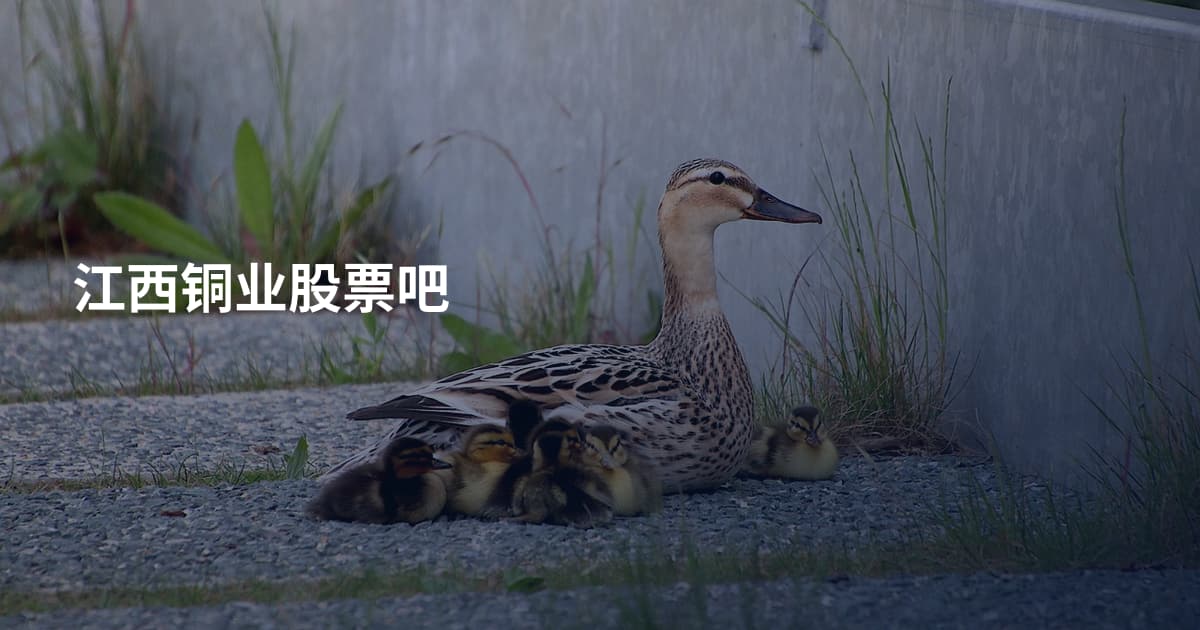 江西铜业股票吧
