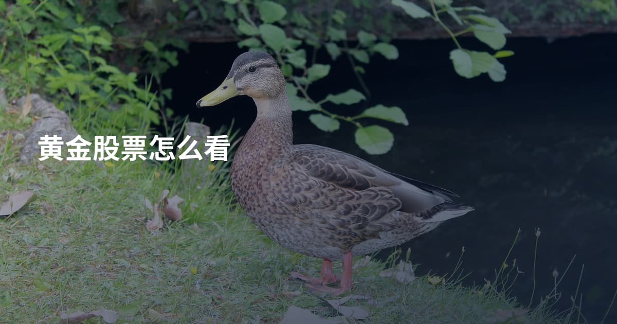 黄金股票怎么看