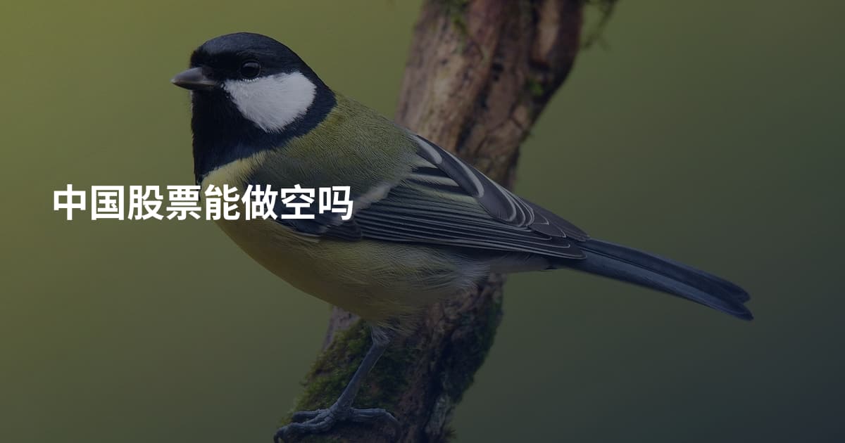 中国股票能做空吗