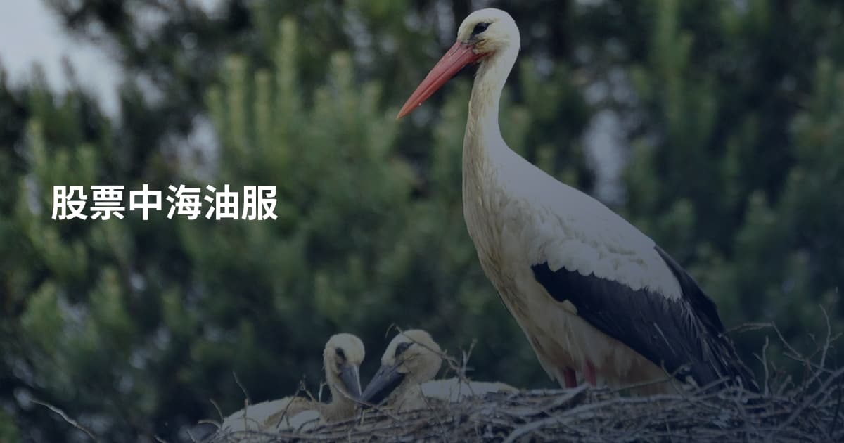 股票中海油服