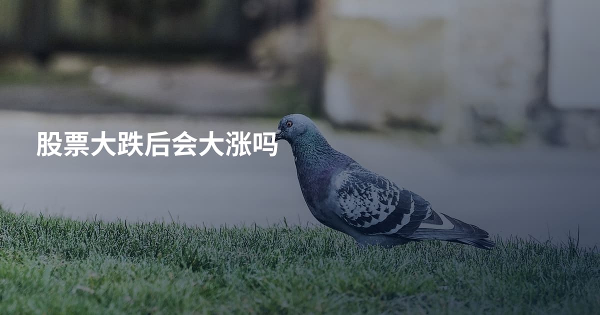 股票大跌后会大涨吗